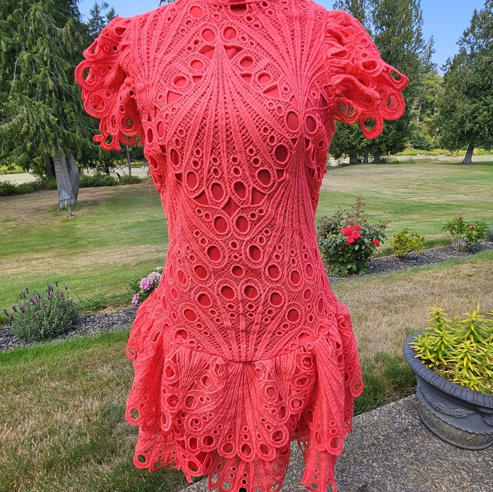 The Sang Elegant Salmon Or Orange Lace Dress Sz M NWT See Pictures For Details - Picture 6 of 12
